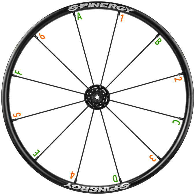 スピナジー スポークカスタム　スポークカラー選択図